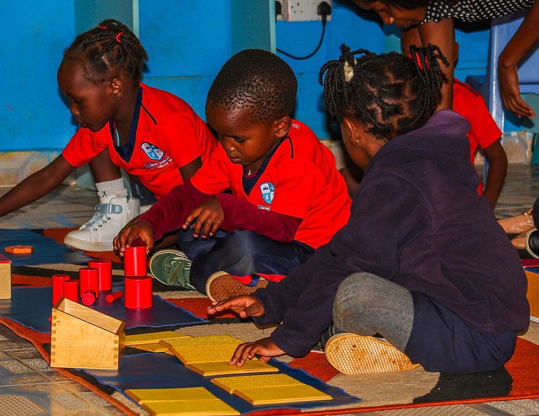 Children working with Montessori knobbed cylinder blocks on the floor