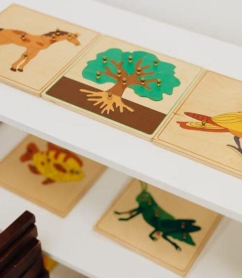 Wooden Montessori puzzle boards of a horse, a tree, a butterfly, a fish and a grasshopper on an open shelf